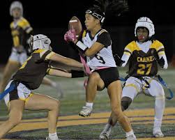 Image result for Kirkcaldy Bulls Flag football Club