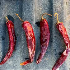 Afbeeldingsresultaat voor numex sandia hot pepper