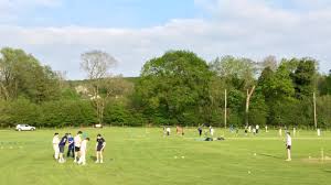 Image result for Aston Ingham Cricket Club