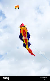 Image result for Brighton Kite Fliers