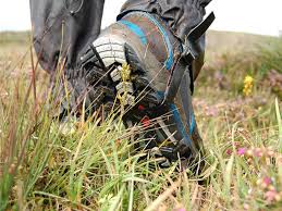 Image result for St John`s Gac