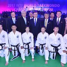 Image result for Reading Wtf Taekwondo