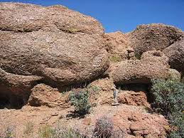 Attēlu rezultāti vaicājumam “Grus grus”