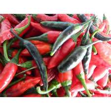 Afbeeldingsresultaat voor biker billy jalapeno hot pepper