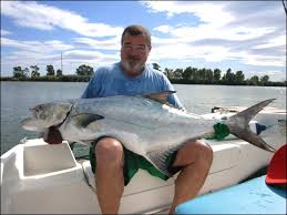 Image result for Lichia amia