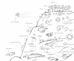 Image result for Thurrock BSAC