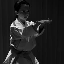 Image result for Uwe Karate Club