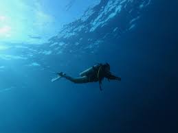 Image result for Blue Water Diving