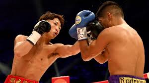 Image result for Enfield T'ai Tsung Chinese Boxing