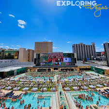 Image result for Mid Beds Swim Squad