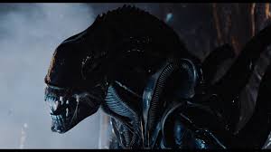 Image result for xenomorph