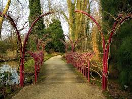 Image result for Arboretum Trompenburg
