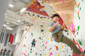 Image result for High Sports Climbing Wall