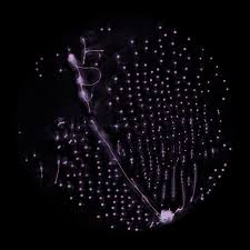 Attēlu rezultāti vaicājumam “Physarum orbis macro”