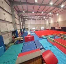 Image result for stonehaven gymnastics club