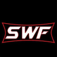 Image result for SWF