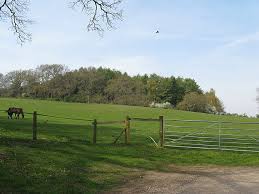 Image result for Pulborough Cricket Club