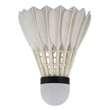 Image result for Shuttlecocks Badminton Club