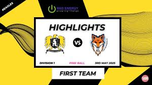 Image result for Eaton Socon Cricket Club