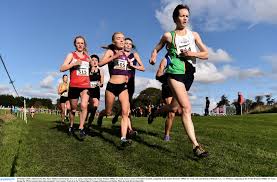 Image result for Annadale Striders Ac