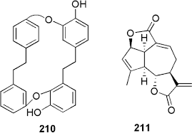 Attēlu rezultāti vaicājumam “Paraleucobryum longifolium sporophyte”
