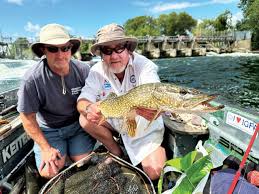 Image result for Thames Valley Angling