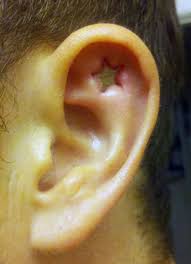 Image result for ear mod