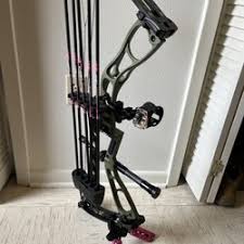 Image result for Rivernook Bowmen