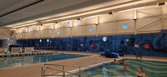 Image result for Stevenage Swimming Club