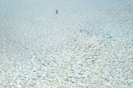 Image result for Albula glossodonta