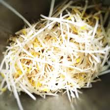 Image result for bean sprout