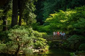 Image result for japanese gardens...