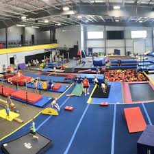 Image result for Fish trampoline and gymnastics club