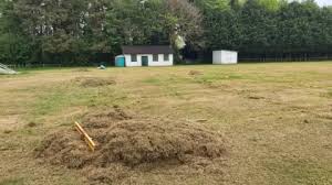 Image result for Hodnet & Peplow Cricket Club