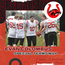 Image result for Staffordshire Stallions