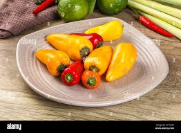 Afbeeldingsresultaat voor baby yellow sweet pepper