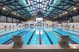 Image result for Taunton Deane Swimming Club