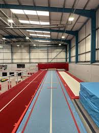 Image result for Spelthorne School Of Gymnastics
