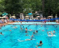 Image result for Avondale Pta Badminton Club