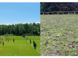 Image result for Warsash Wasps Sports & Football Club