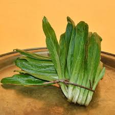 Image result for Koriander