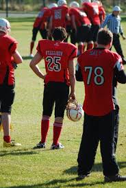 Image result for Staffordshire Stallions