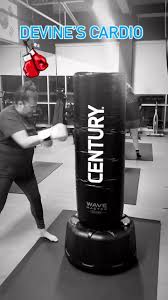 Image result for Devines Martial Arts