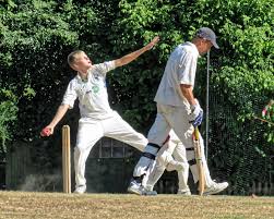 Image result for Henfield Cricket Club