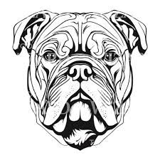 Image result for bulldog tattoos