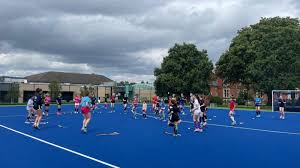 Image result for Tewkesbury and Cheltenham Underwater Hockey Club