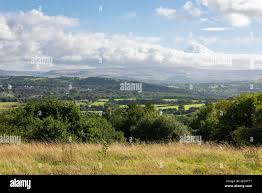 Image result for Glossopdale Harriers