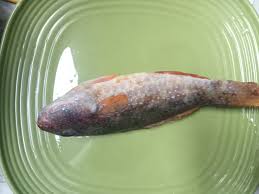 Image result for *PHUfbqhZ