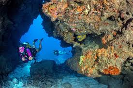 Image result for Castle Rushen Divers