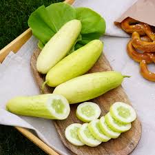 Image result for Gurke